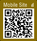 Mobile Site